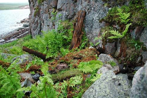 Battlefields in North Karelia( SS-Nord Division)