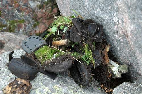 Battlefields in North Karelia( SS-Nord Division)