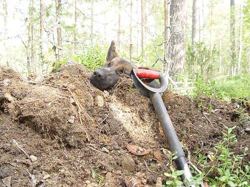 Battlefields in North Karelia( SS-Nord Division)