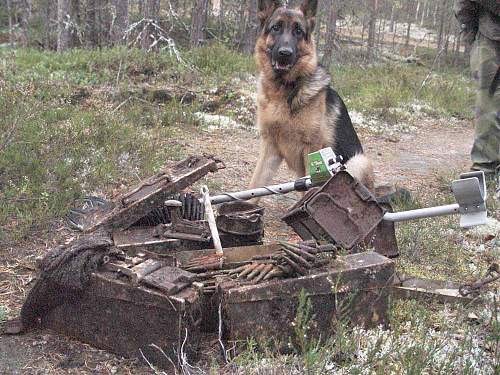 Battlefields in North Karelia( SS-Nord Division)