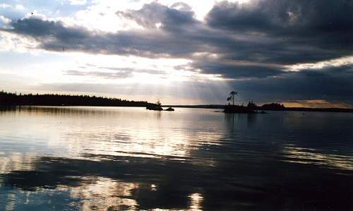 Battlefields in North Karelia( SS-Nord Division)