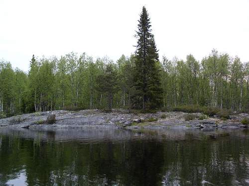 Battlefields in North Karelia( SS-Nord Division)