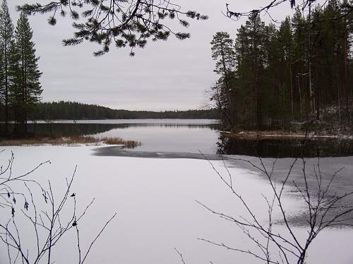 Battlefields in North Karelia( SS-Nord Division)