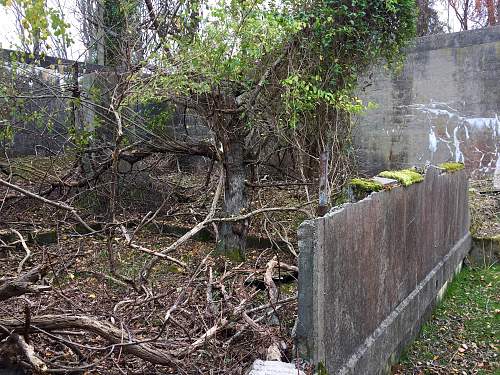 Boston WW2, harbor islands ruins/bunkers.