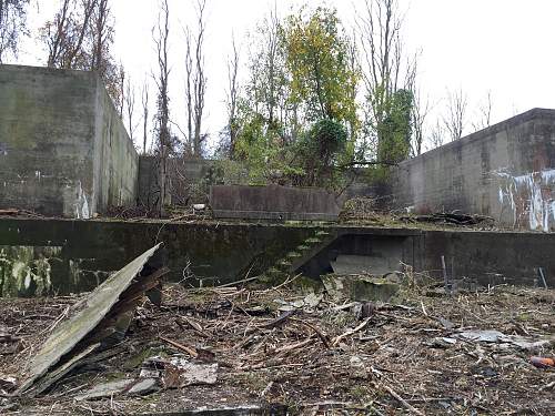 Boston WW2, harbor islands ruins/bunkers.