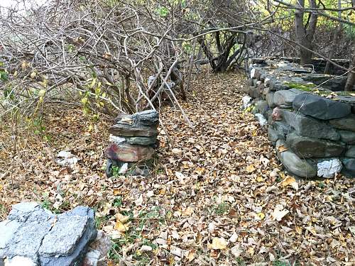 Boston WW2, harbor islands ruins/bunkers.