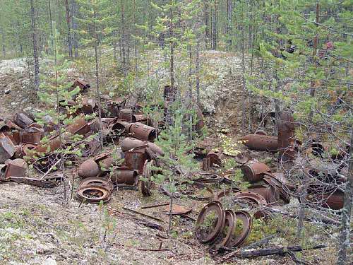 Battlefields in North Karelia( SS-Nord Division)