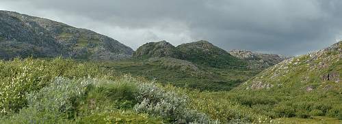 Battlefields in North Karelia( SS-Nord Division)