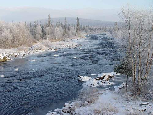 Battlefields in North Karelia( SS-Nord Division)