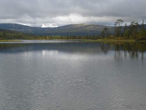 Battlefields in North Karelia( SS-Nord Division)