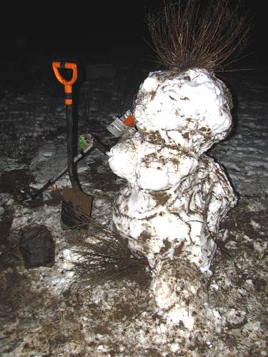 Stalingrad: digging near Gorodis&#1089;he &amp; Gumrak