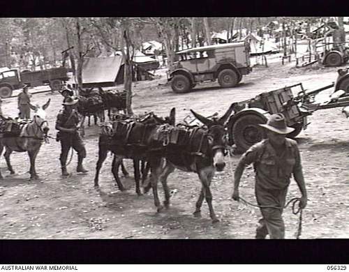 Australian  WWII - Far North  Queensland Metal detecting and  recovery