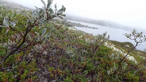 Traces of war in the Kola Peninsula.