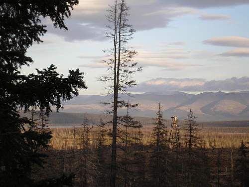 Battlefields in North Karelia( SS-Nord Division)