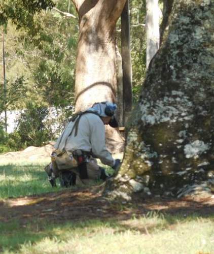 Australian  WWII - Far North  Queensland Metal detecting and  recovery