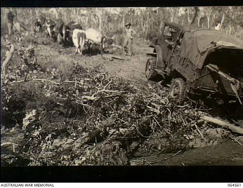 Australian  WWII - Far North  Queensland Metal detecting and  recovery