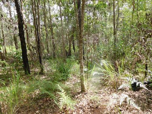 Australian  WWII - Far North  Queensland Metal detecting and  recovery