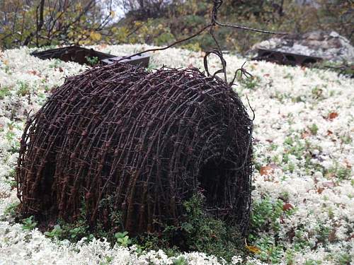 Battlefields in North Karelia( SS-Nord Division)