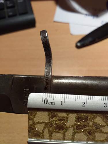 Need help for identification and evaluation for this DEMAG bayonet