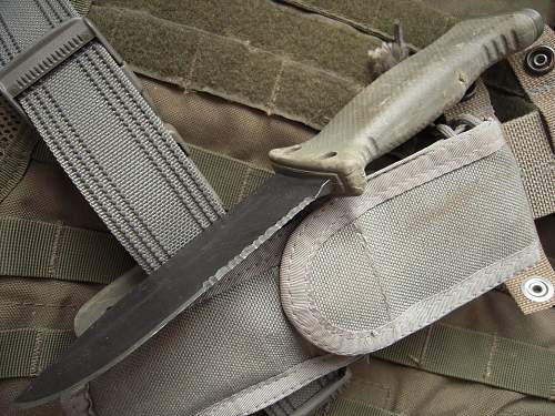 Gerber LMFII Infantry GI-issued actually ?