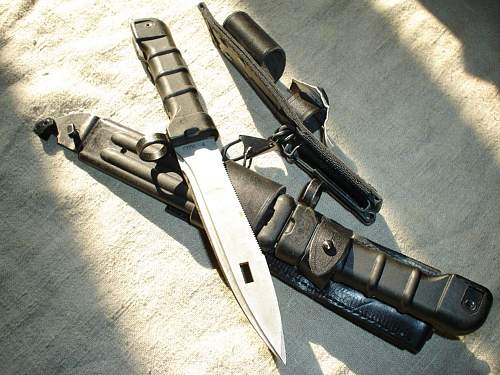 Which bayonet?