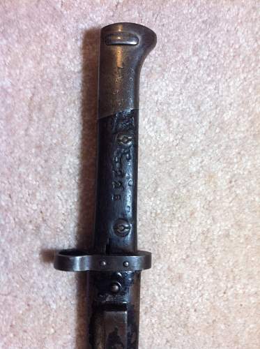 Czech bayonet find