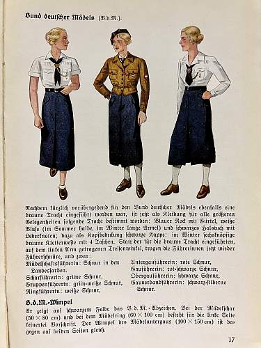 Die uniformen der Braunhemden S.A., S.S., Politische Leiter, H.J., D.J., und B.D.M.