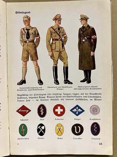 Die uniformen der Braunhemden S.A., S.S., Politische Leiter, H.J., D.J., und B.D.M.