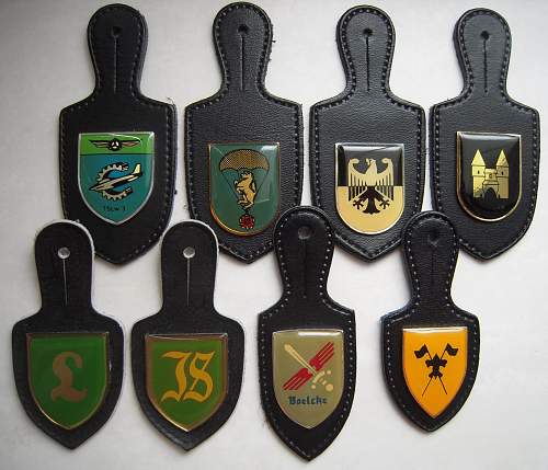 Which troop insignia?