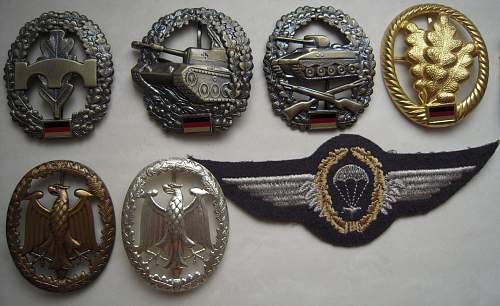 Which troop insignia?