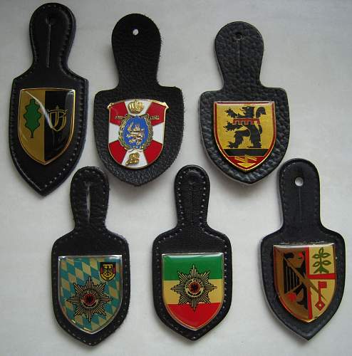 Which troop insignia?