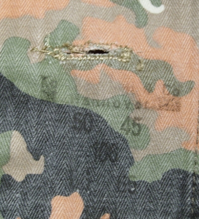variations of the Bundeswehr camo