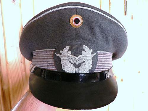 Bundeswehr peaked caps.