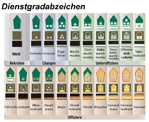 The Bundesheer, the modern Austrian Army.