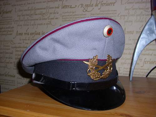 Bundeswehr peaked caps.