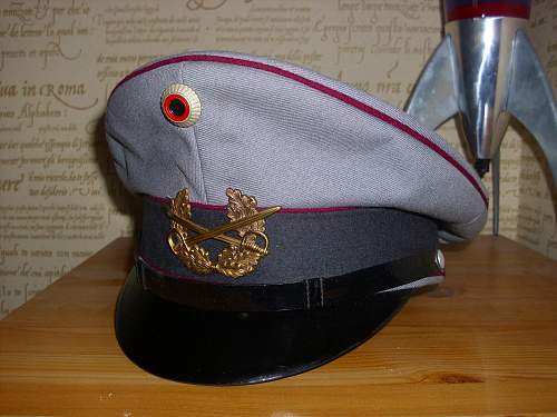 Bundeswehr peaked caps.