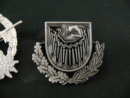 My Bundeswher Badge Hoard