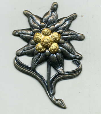 Opinion on Edelweiss cap badge