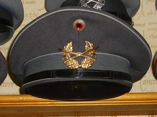 Bundeswehr peaked caps.