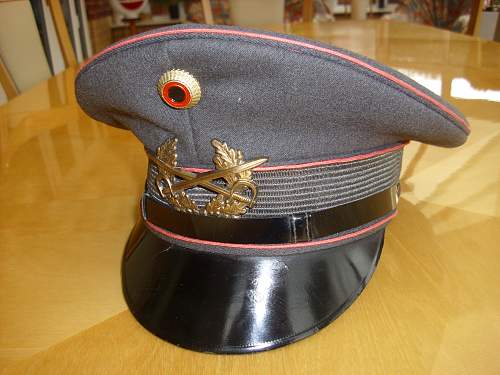 Bundeswehr peaked caps.