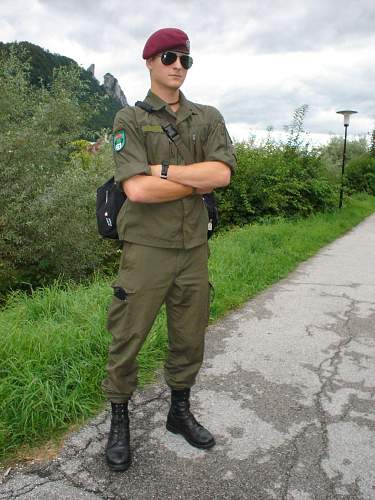 The Bundesheer, the modern Austrian Army.