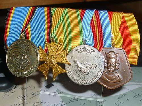 Marching medals of a BRD citizen................