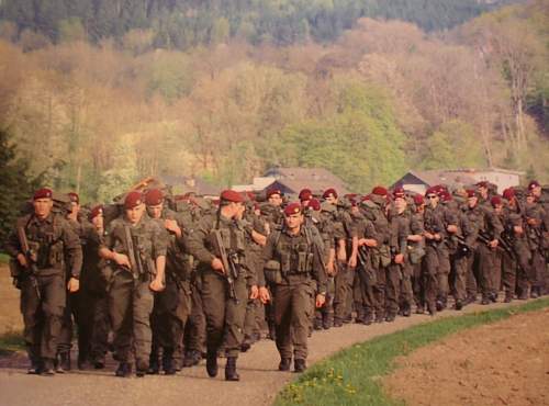 The Bundesheer, the modern Austrian Army.