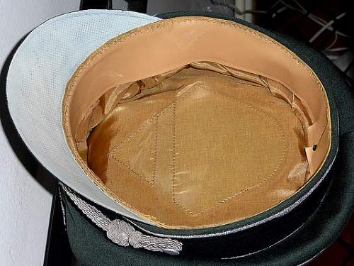 German diplomat visor