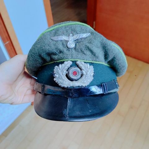 What do you think of this panzergrenadier NCO visor? I got it in a military fair for 200 buckaroos.