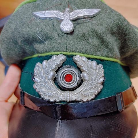 What do you think of this panzergrenadier NCO visor? I got it in a military fair for 200 buckaroos.