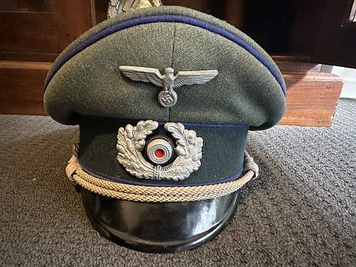 Is this a medical visor? Is it authentic?