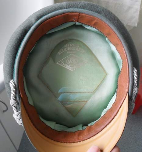 Opinions please on erel visor