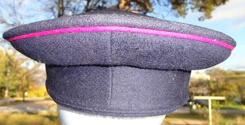 Fire Police Visor