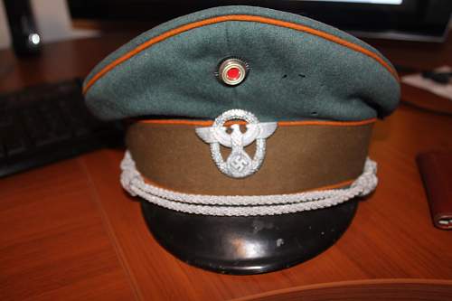 Police office visor Green and brown